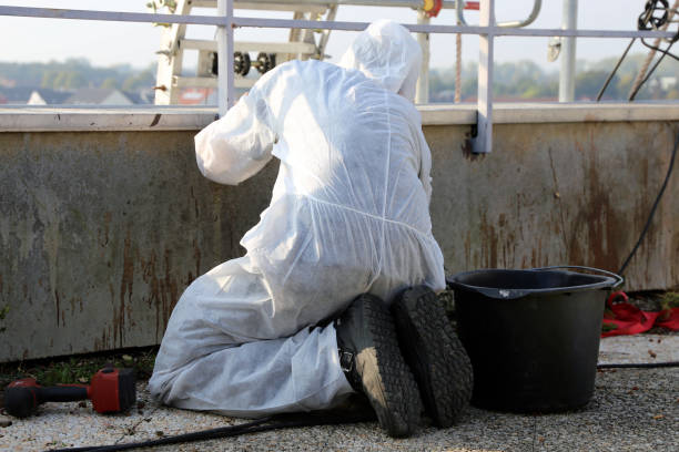 Professional asbestos abatement